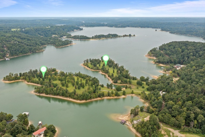 210 County Road 333 Crane Hill AL 35053